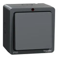 SCHNEIDER Lisse Weatherproof 20AX 1 Gang1W DP with neon switch