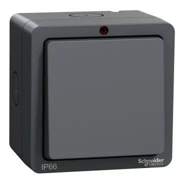 SCHNEIDER Lisse Weatherproof 20AX 1 Gang1W DP with neon switch