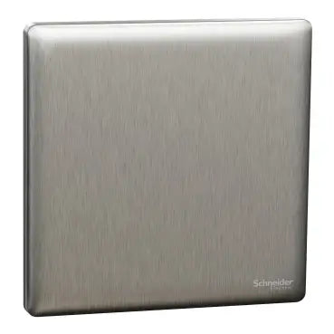 SCHNEIDER 16AX 250V Intermediate Switch Stainless Steel