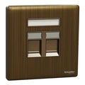 SCHNEIDER 2 Gang wall plate (without module) Antique Brass