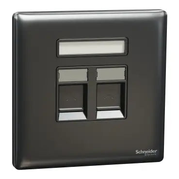 SCHNEIDER 2 Gang wall plate (without module)  Dark Grey