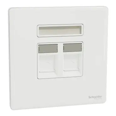 SCHNEIDER 2 Gang wall plate (without module) Painted White