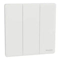 SCHNEIDER 10A 250V 3 Gang Press Switch Painted White