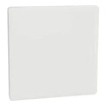 SCHNEIDER 1 Gang Blank Plate Painted White