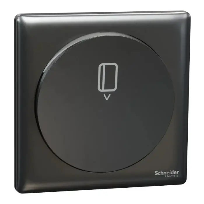 SCHNEIDER Electronic Key Card with Time Delay Dark Grey