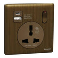 SCHNEIDER 16A 1 Gang International socket with USB Antique Brass