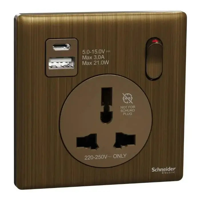 SCHNEIDER 16A 1 Gang International socket with USB Antique Brass