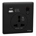 SCHNEIDER 16A 1 Gang International socket with USB Jet Black
